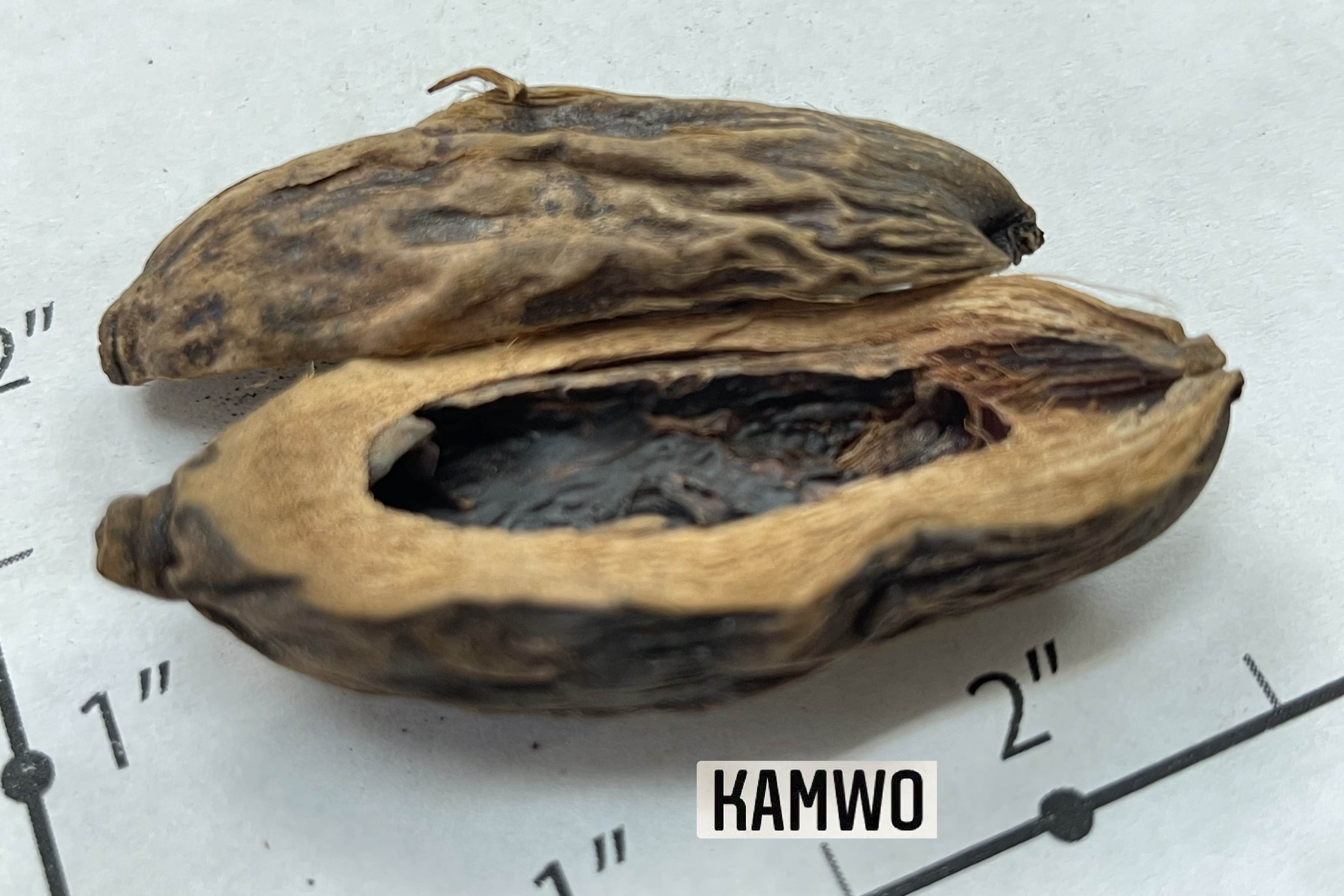 Da_Fu_Pi_2.jpg
