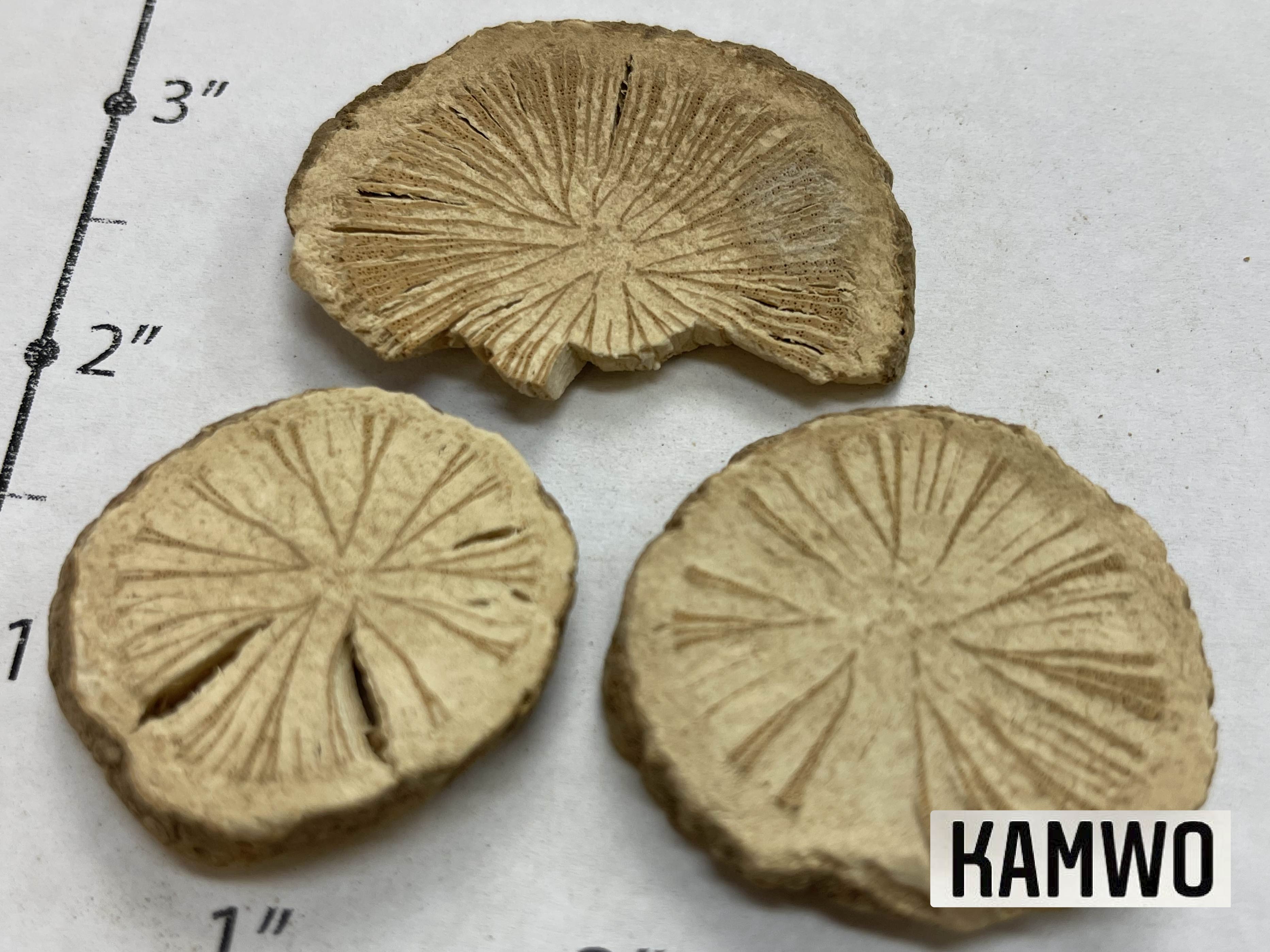 Fang_Ji_(Han)_2.jpg