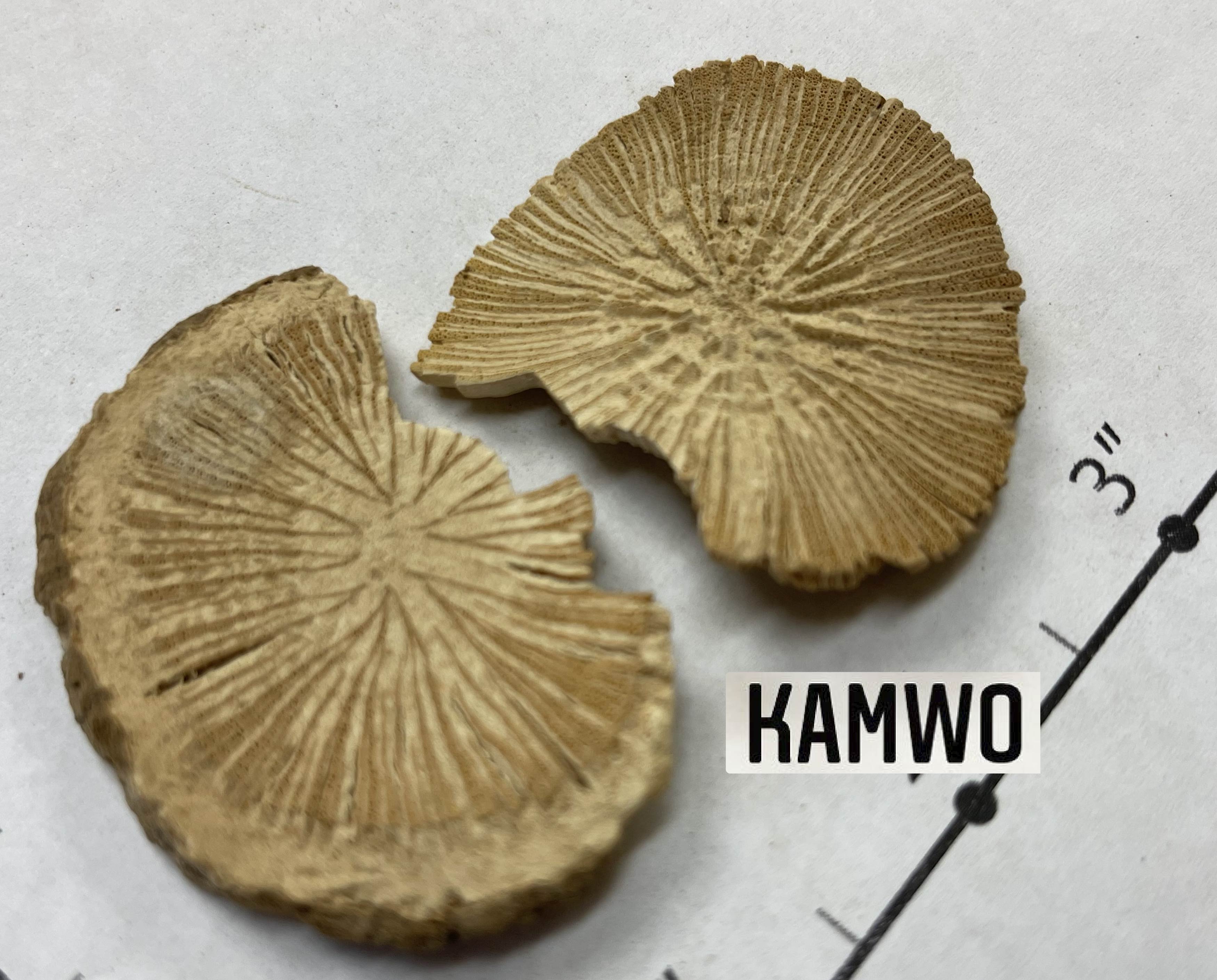 Fang_Ji_(Han)_3.jpg