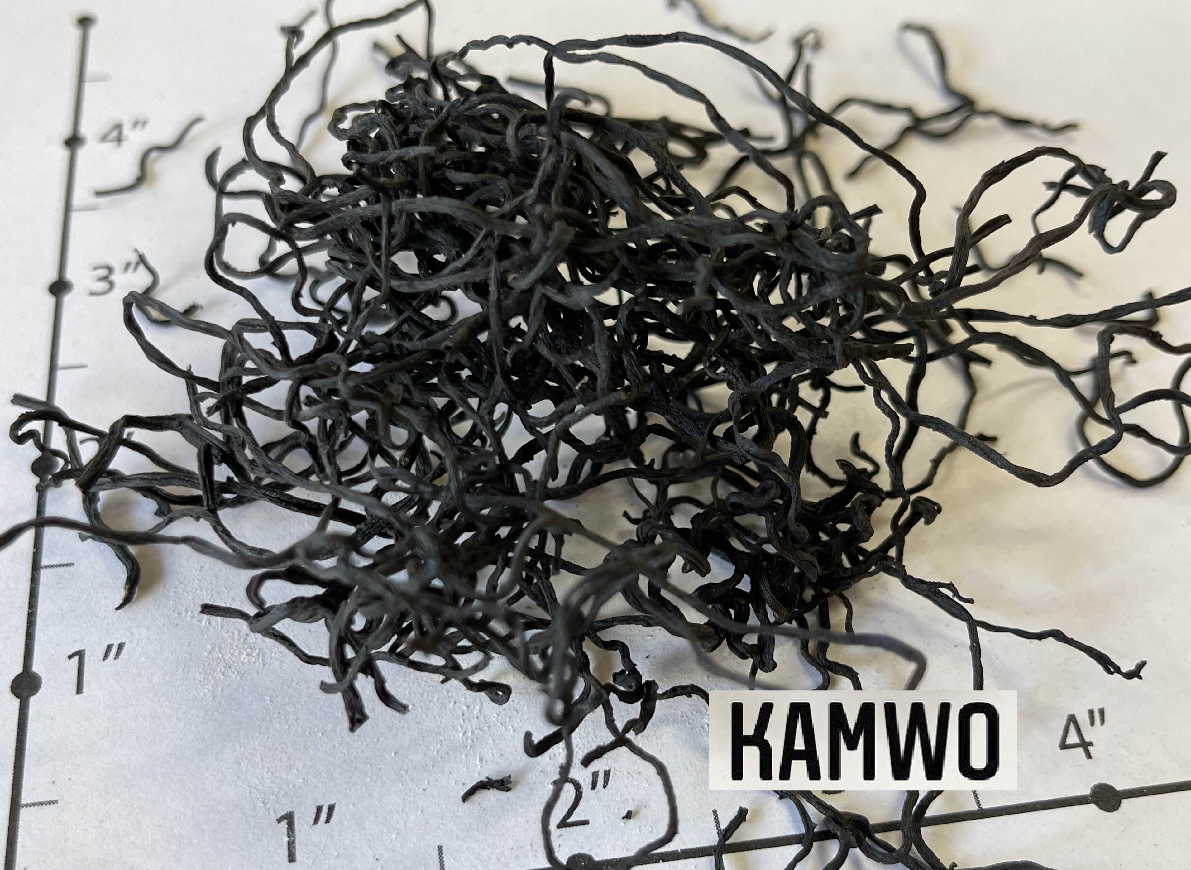 Hai_Zao_3.jpg