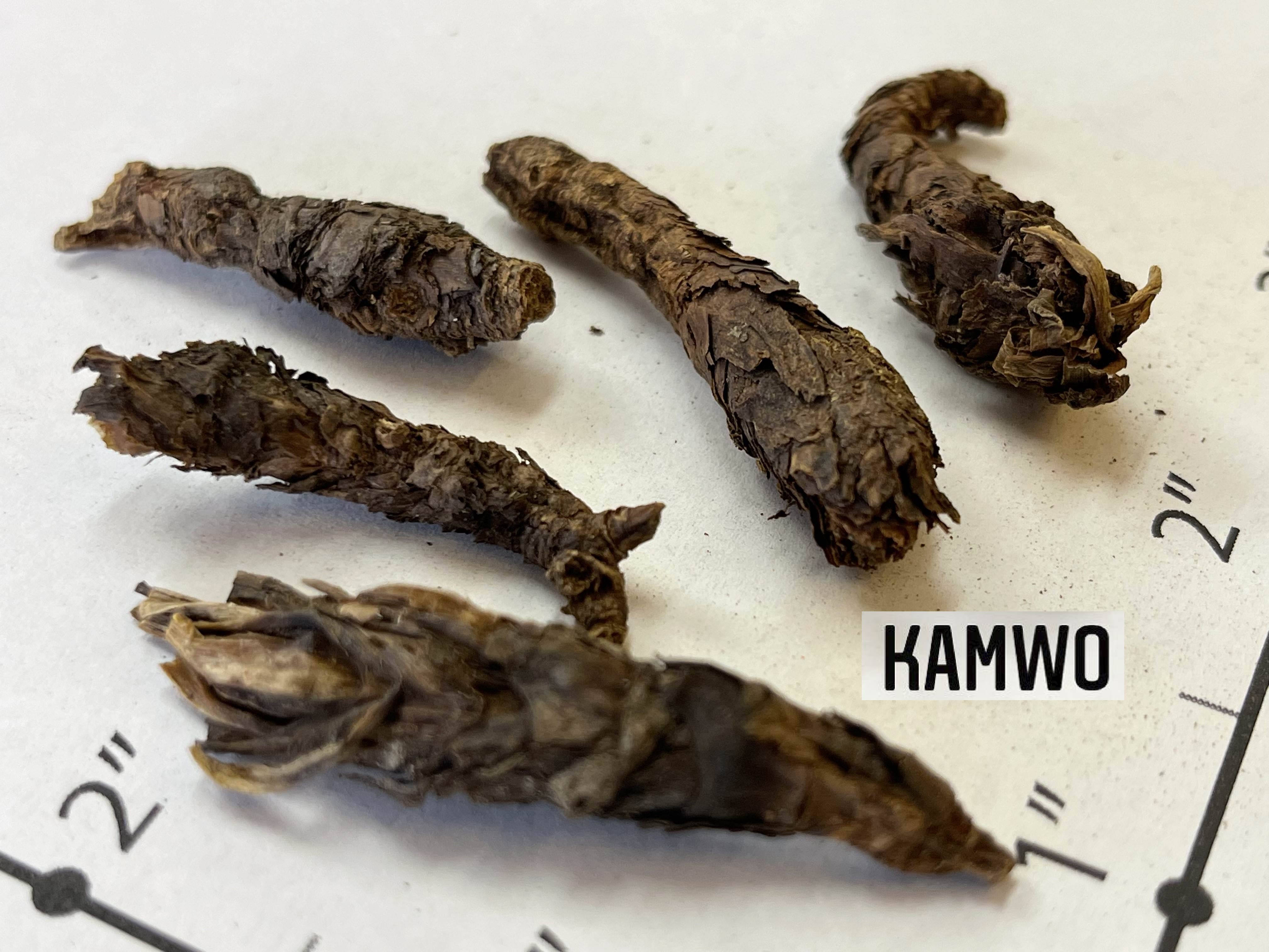 Hu_Huang_Lian_2.jpg