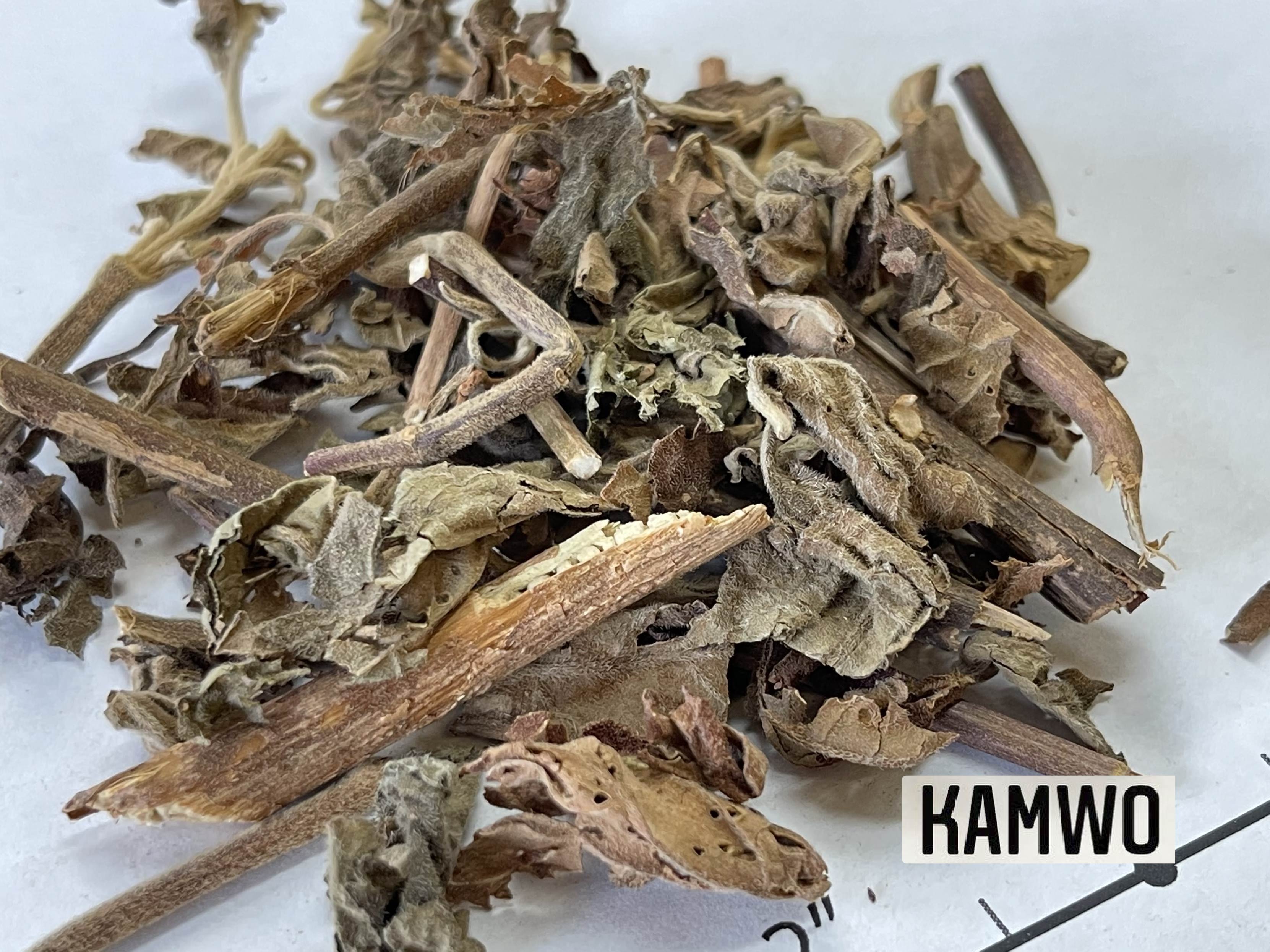 Huo_Xiang_2.jpg