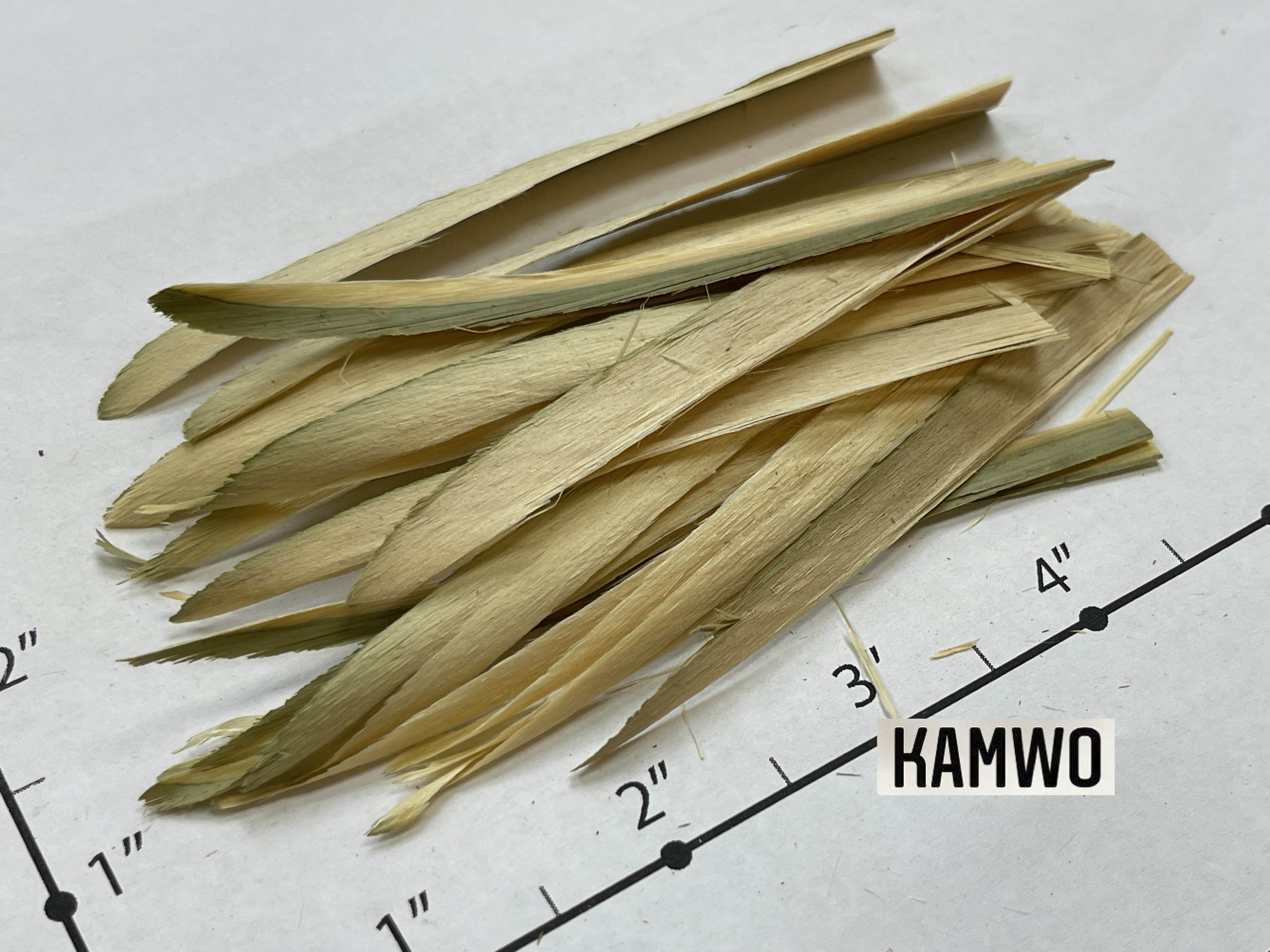 Zhu Ru